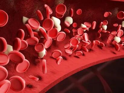 脐带血移植为罕见病儿童创造“脐”迹