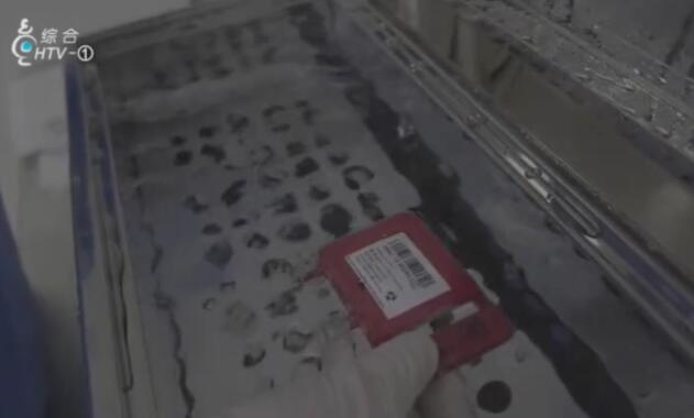 一家四口中三人同患白血病，脐带血移植帮他们恢复健康