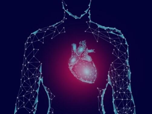 研究证明：人脐带间充质干细胞能治疗多种临床疾病