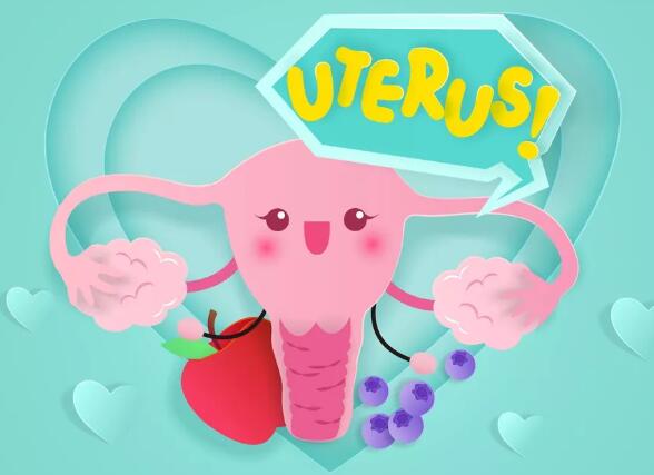 脐带间充质干细胞治疗卵巢早衰的研究进展 脐带间充质干细胞治疗卵巢早衰的研究进展