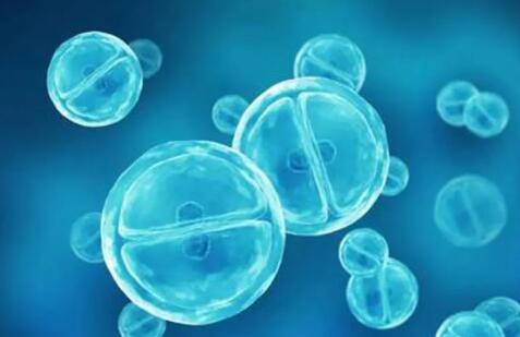 2型糖尿病用脐带干细胞治疗的长期疗效评估