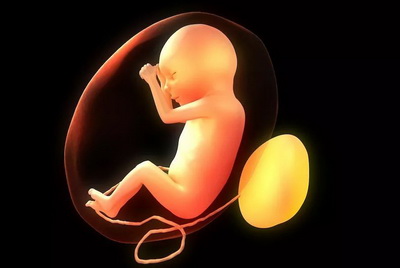 快讯：间充质干细胞治疗脑中风有新突破