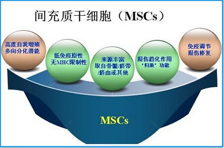 注射脐带间充质干细胞安全吗？（对人体有伤害吗）