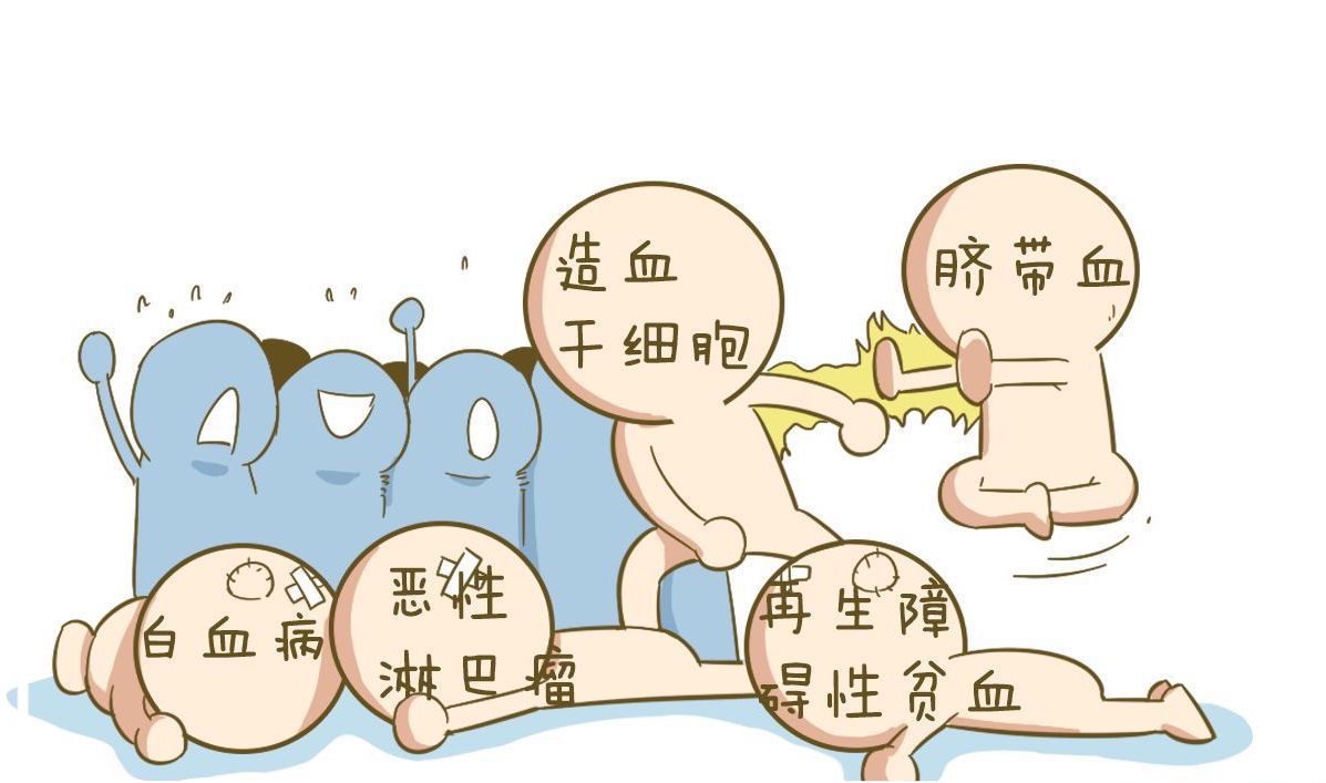 造血干细胞移植的优点和缺点（三种造血干细胞优缺点对比）